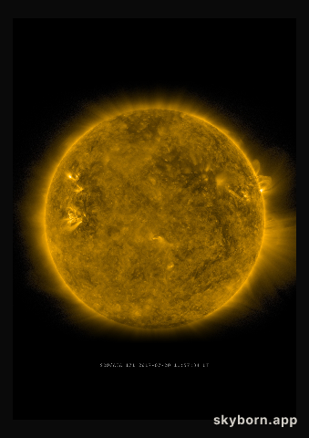 The Sun on 20 July 2017