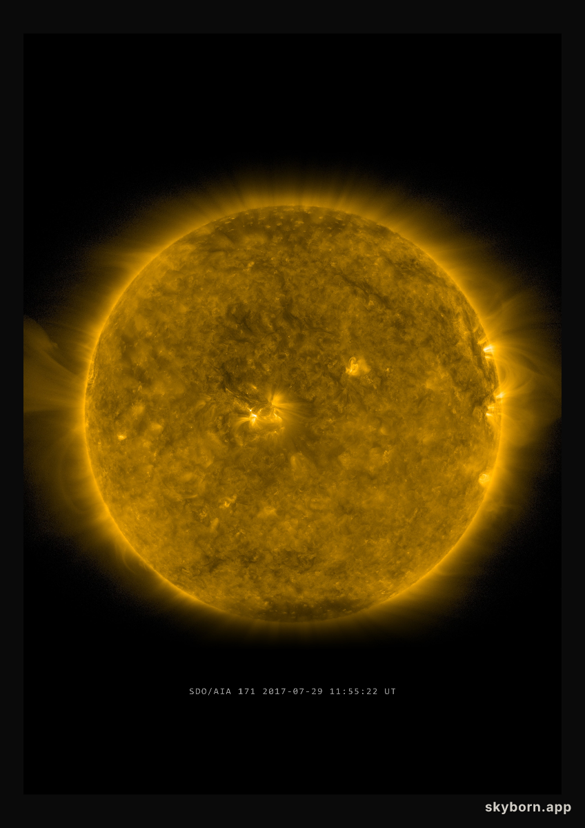 The Sun on 29 July 2017