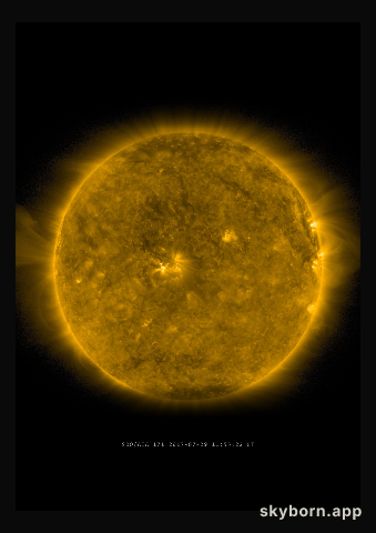 The Sun on 29 July 2017