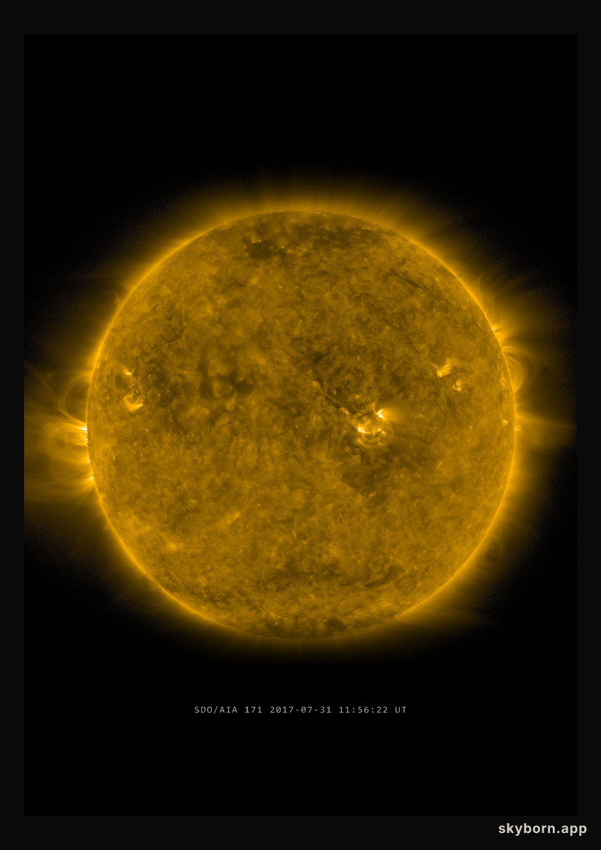 The Sun on 31 July 2017