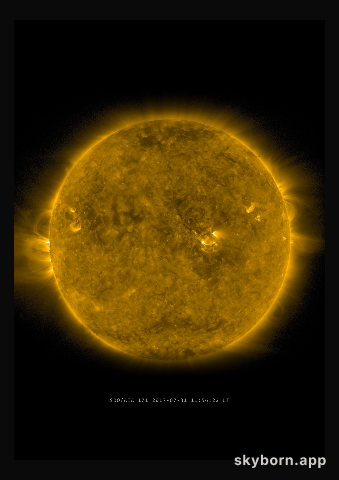 The Sun on 31 July 2017