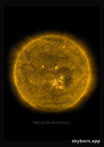 The Sun on 8 August 2017