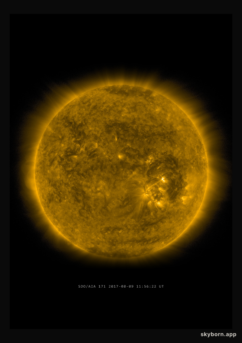 The Sun on 9 August 2017
