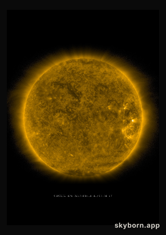 The Sun on 11 August 2017