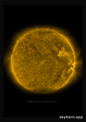 The Sun on 1 November 2017