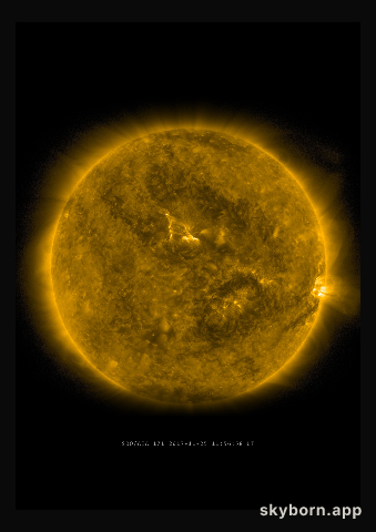 The Sun on 25 November 2017