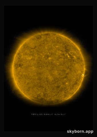 The Sun on 23 January 2018