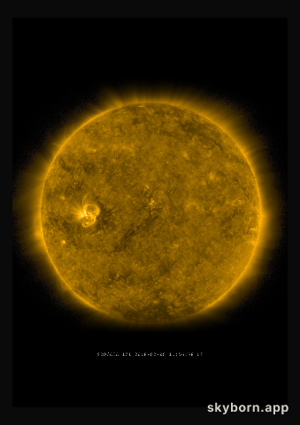 The Sun on 8 February 2018