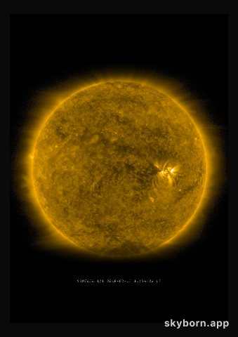 The Sun on 13 February 2018