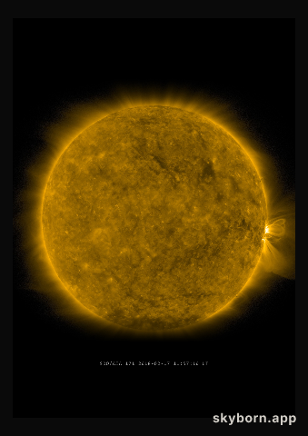 The Sun on 17 February 2018