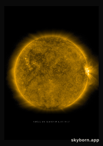 The Sun on 20 July 2018
