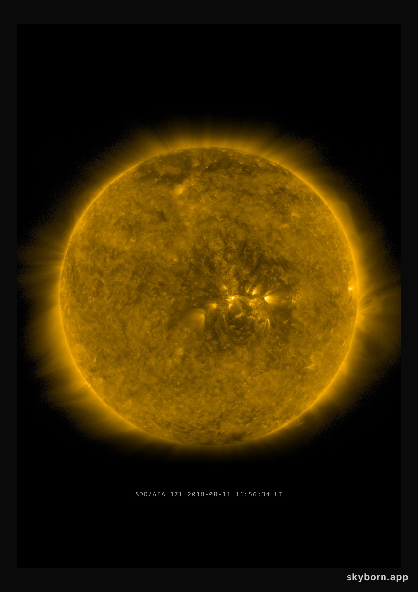 The Sun on 11 August 2018