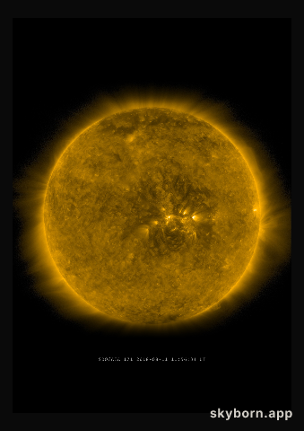 The Sun on 11 August 2018