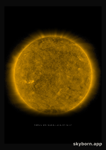 The Sun on 11 November 2018