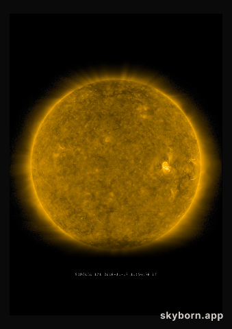 The Sun on 17 November 2018