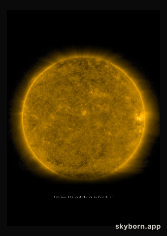 The Sun on 19 November 2018
