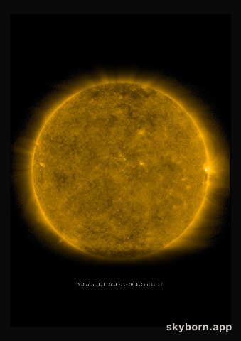 The Sun on 20 November 2018
