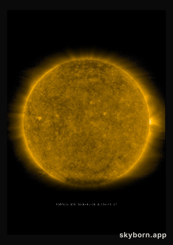 The Sun on 21 November 2018