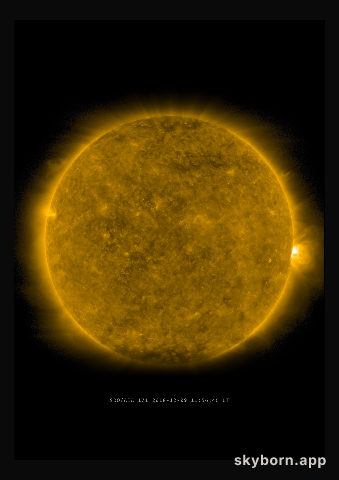 The Sun on 9 December 2018