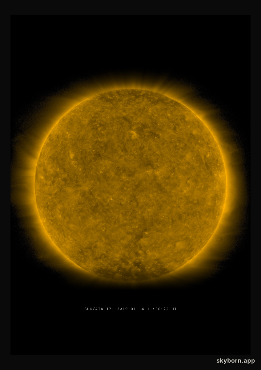 The Sun on 14 January 2019