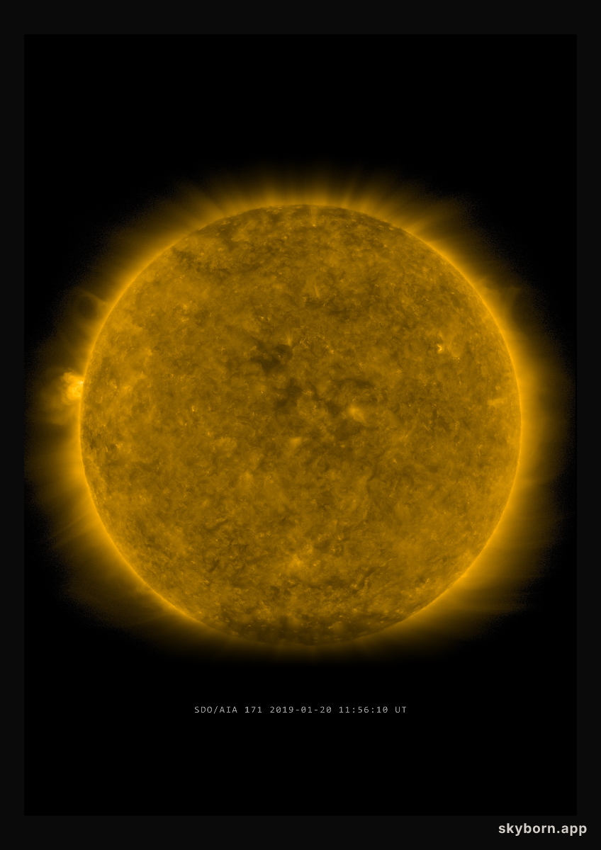 The Sun on 20 January 2019