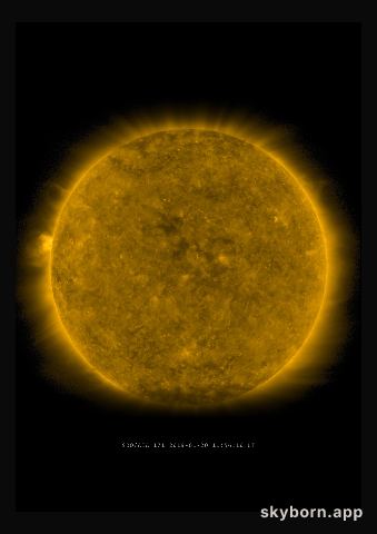 The Sun on 20 January 2019
