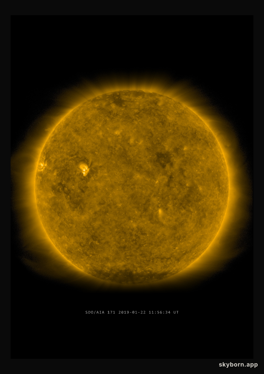 The Sun on 22 January 2019