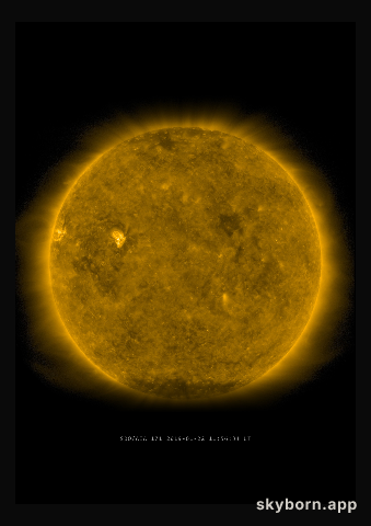 The Sun on 22 January 2019