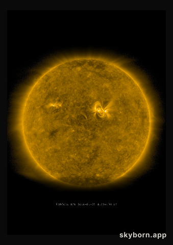 The Sun on 25 January 2019
