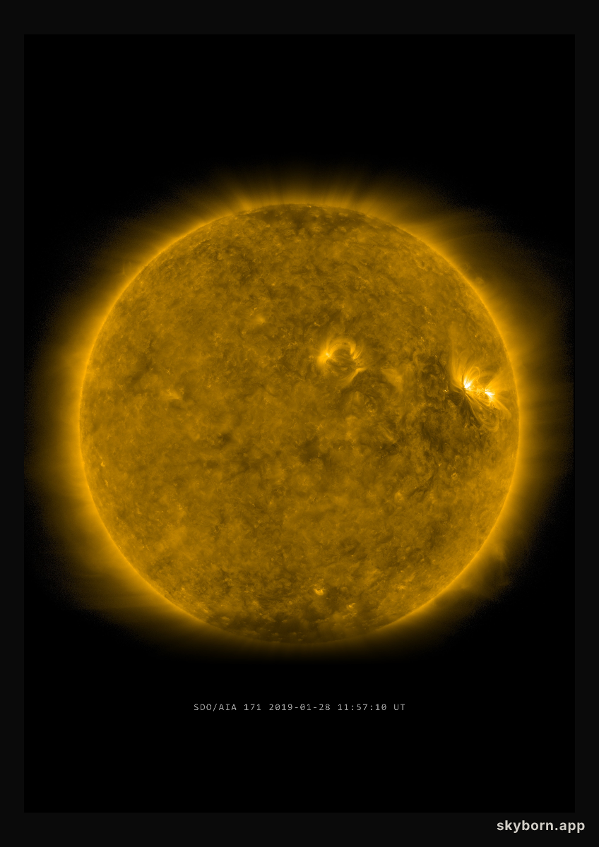 The Sun on 28 January 2019