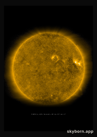 The Sun on 28 January 2019