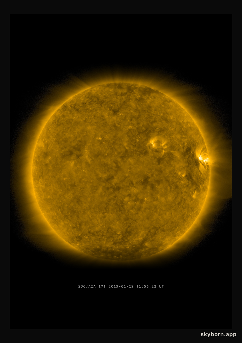The Sun on 29 January 2019