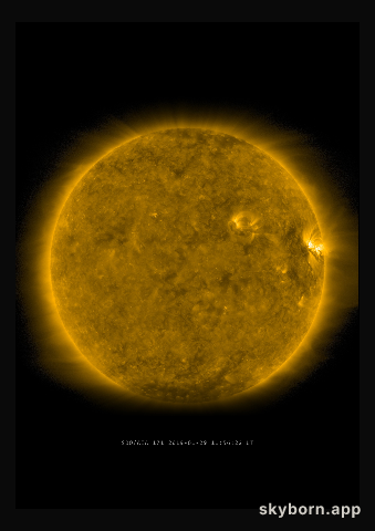 The Sun on 29 January 2019