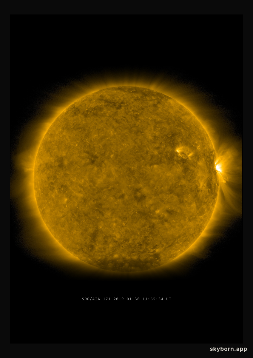 The Sun on 30 January 2019