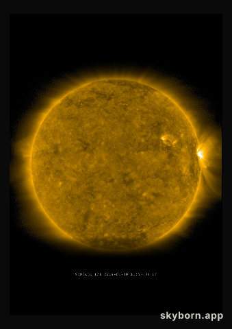 The Sun on 30 January 2019