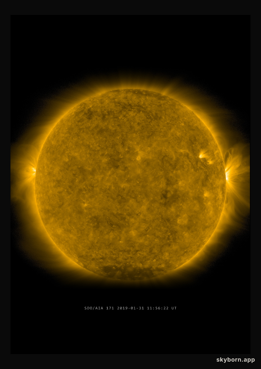 The Sun on 31 January 2019