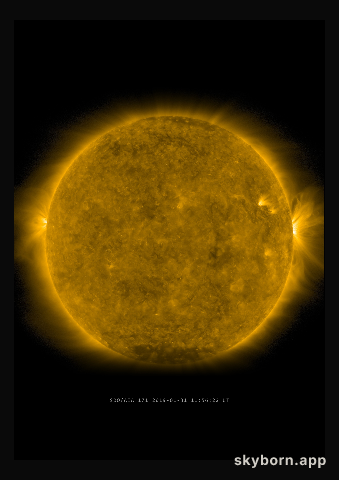 The Sun on 31 January 2019
