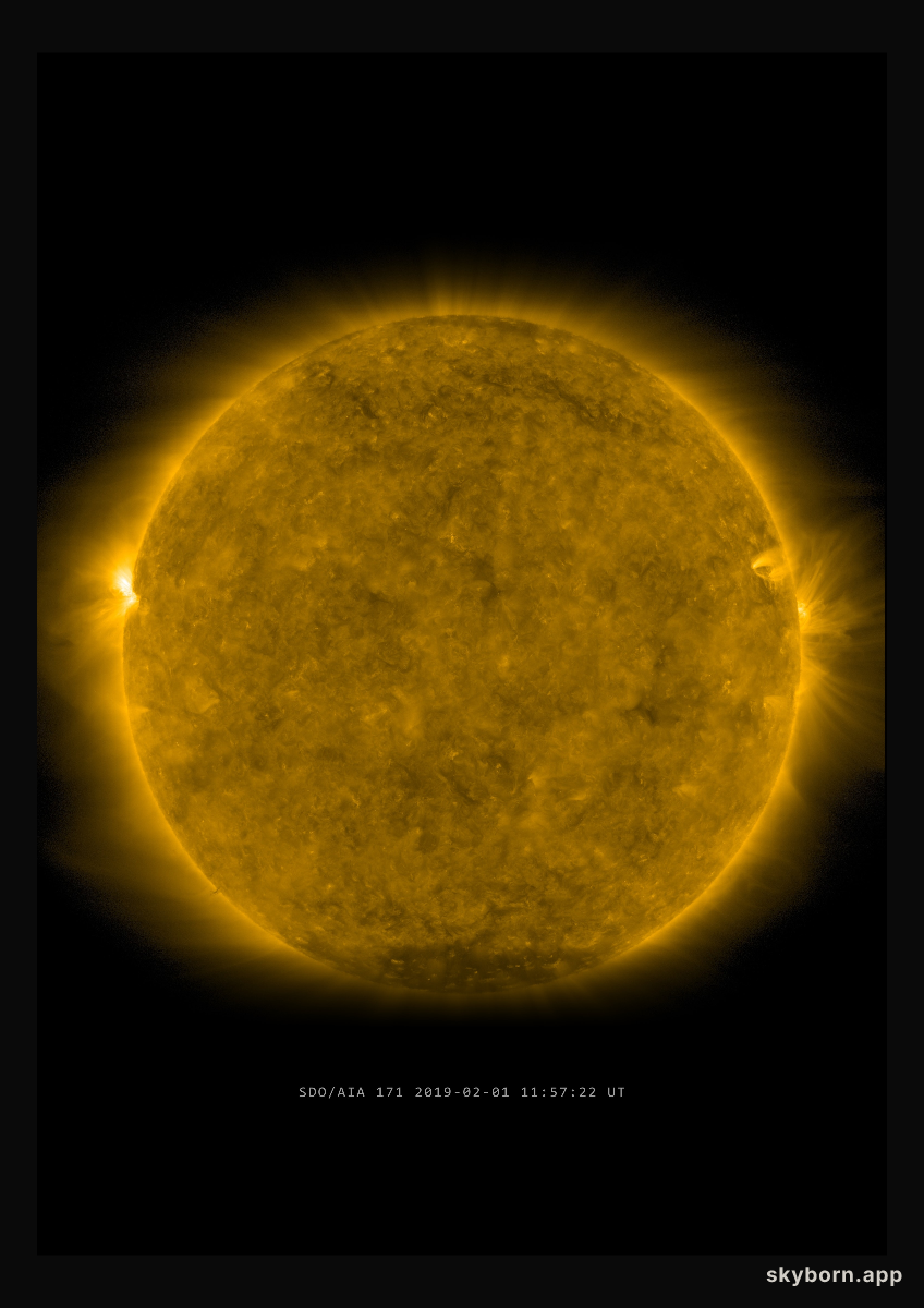 The Sun on 1 February 2019