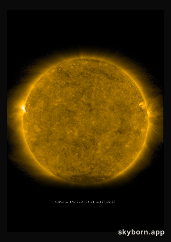 The Sun on 1 February 2019