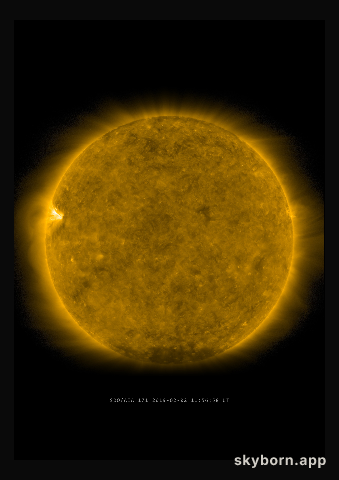 The Sun on 2 February 2019