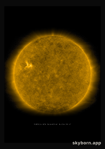 The Sun on 4 February 2019