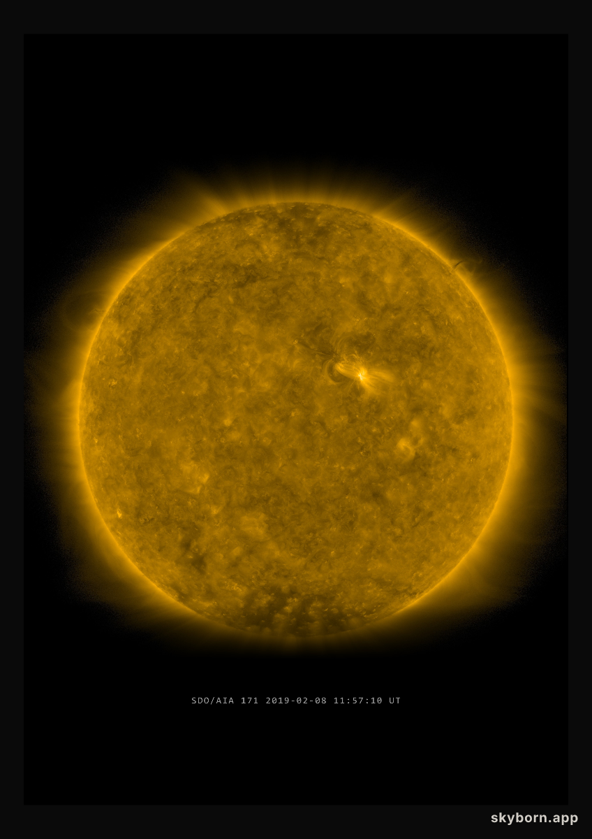 The Sun on 8 February 2019