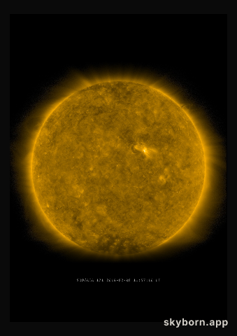 The Sun on 8 February 2019