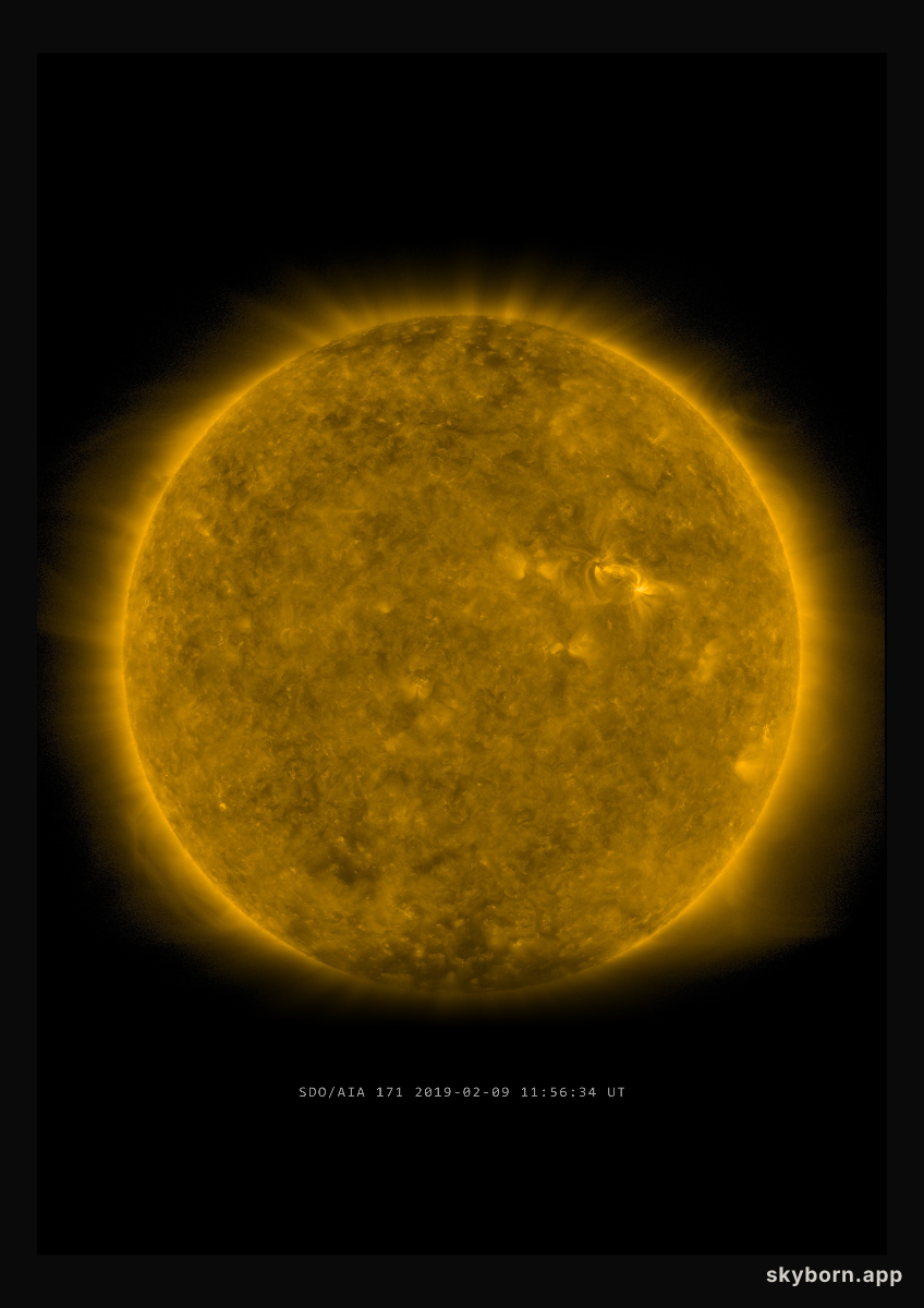 The Sun on 9 February 2019