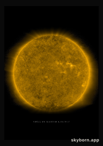 The Sun on 9 February 2019