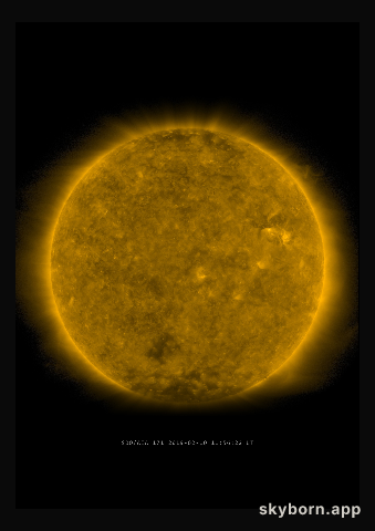 The Sun on 10 February 2019