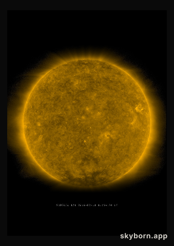 The Sun on 11 February 2019