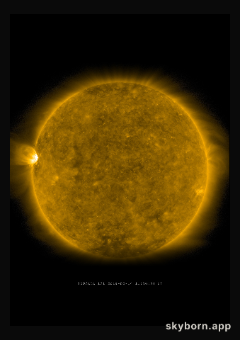The Sun on 14 February 2019