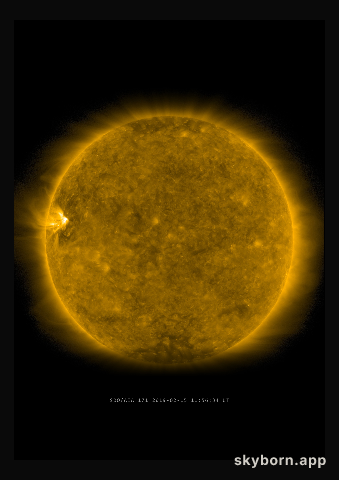 The Sun on 15 February 2019