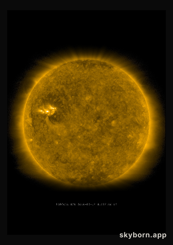 The Sun on 17 February 2019